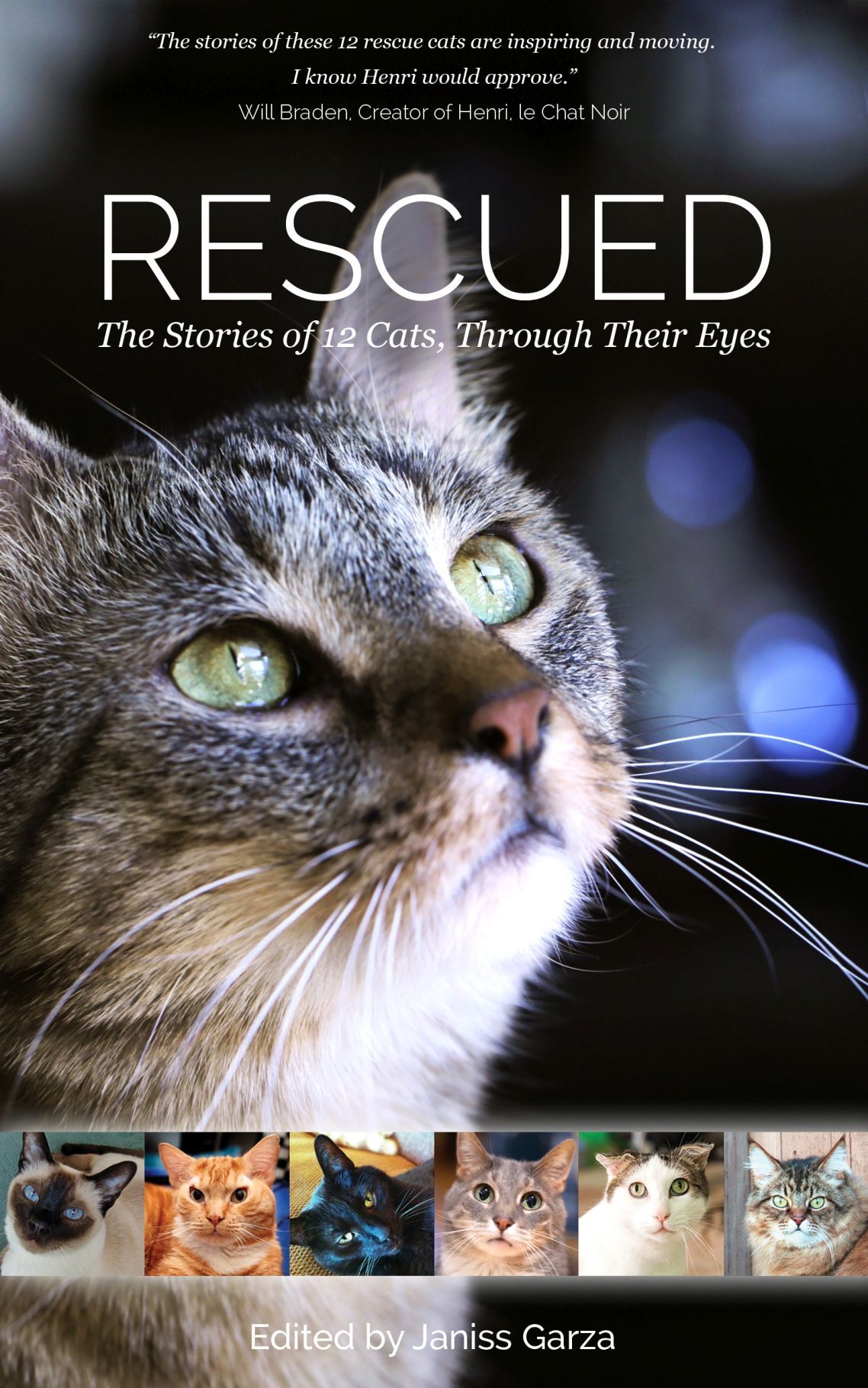 Book about rescued cats to benefit Tucson nokill shelter
