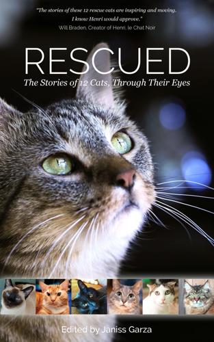 Book about rescued cats to benefit Tucson's Pawsitively Cats No-Kill Shelter
