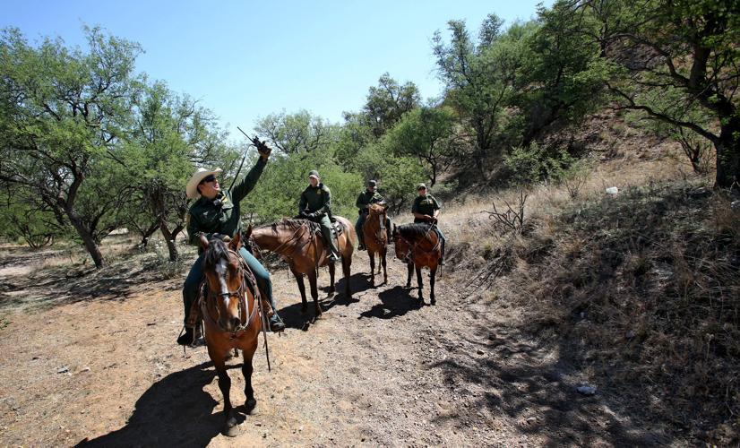 U.S. Border Patrol horse unit