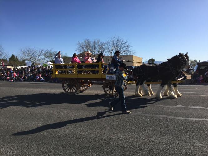 Photos Tucson Rodeo Parade entries