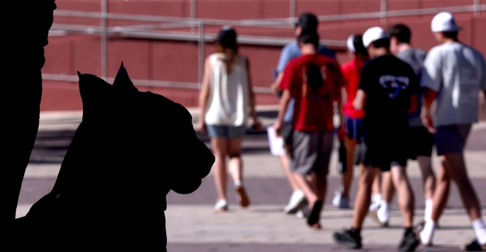 University of Arizona