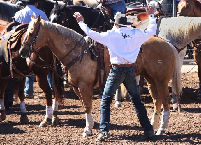 Tucson Rodeo action