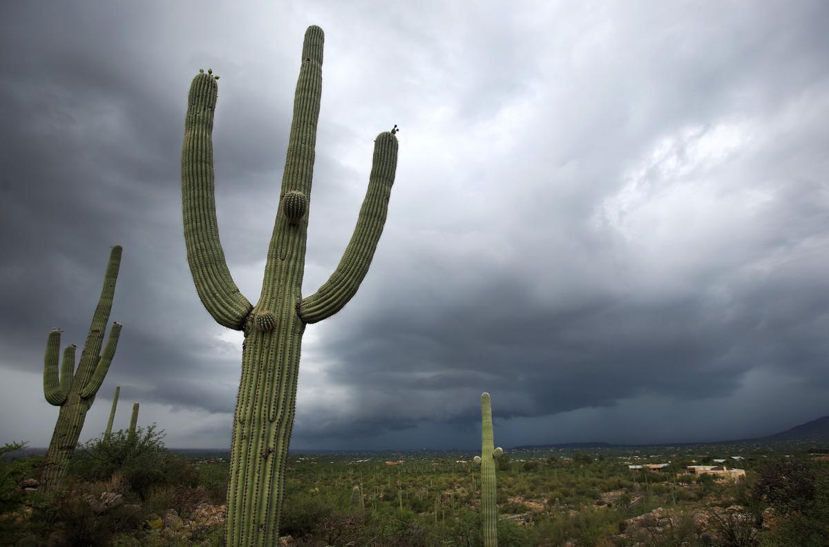 Monsoon 2016