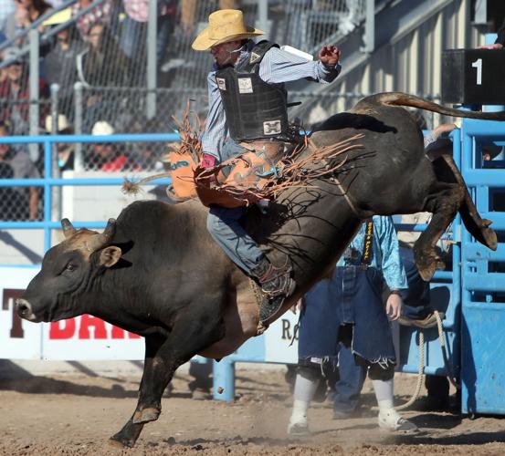 Tucson Rodeo Saturday