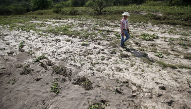 Toxic contamination of Rio Sonora