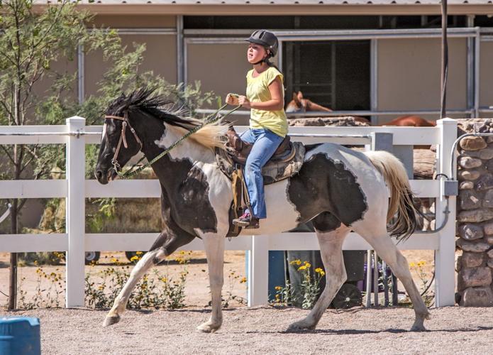 Therapeutic Ranch for Animals and Kids