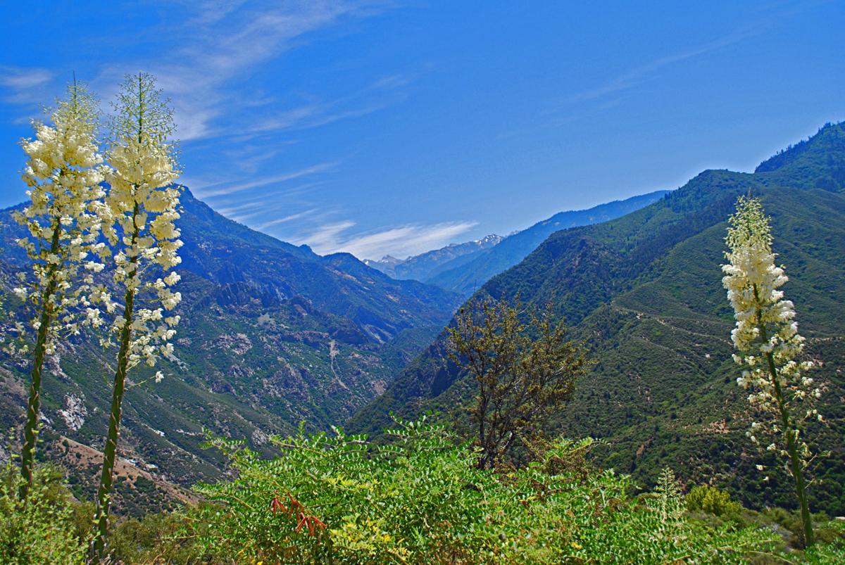 National Park Travel Photo Contest entries