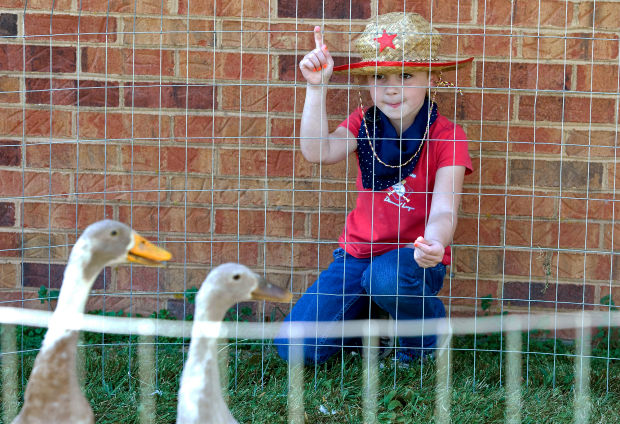 Animal shots of the week
