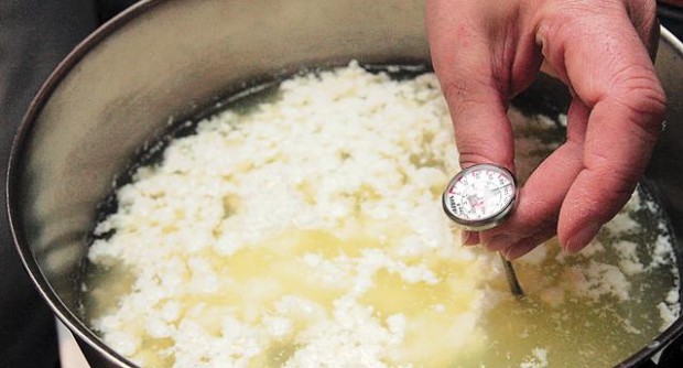 Homemade mozzarella  