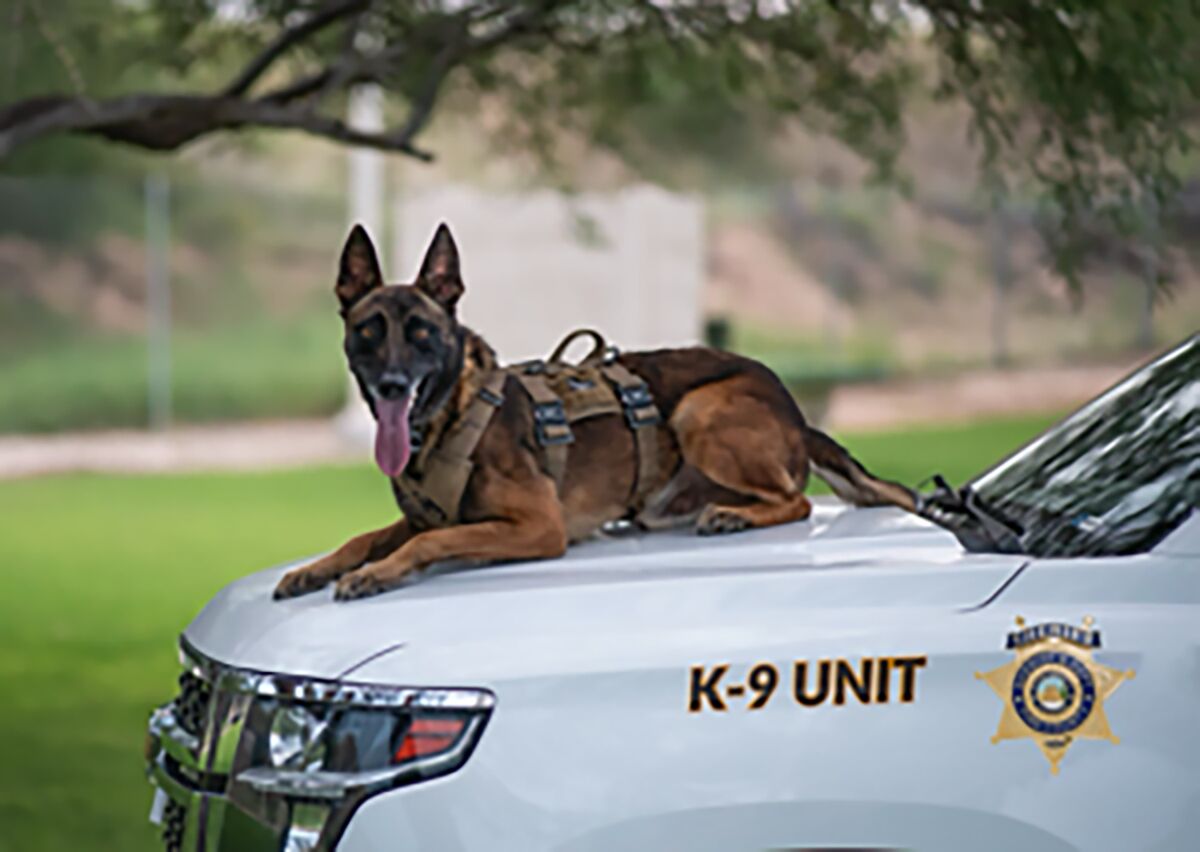 Pima Sheriff's K-9 stabbed to death on Tucson robbery call