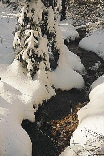 Winter: Howdy, powder  