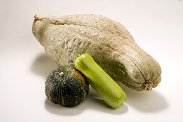 Squash those misconceptions   