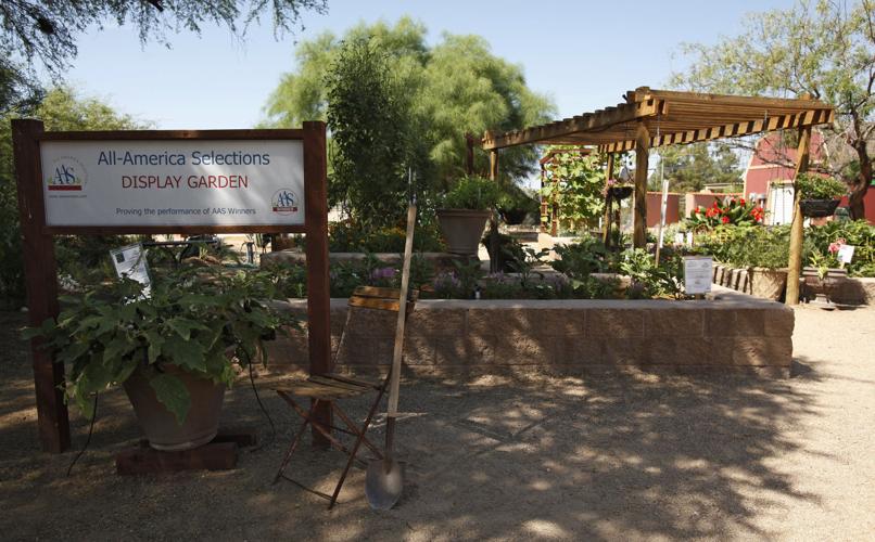 All-America Selections garden