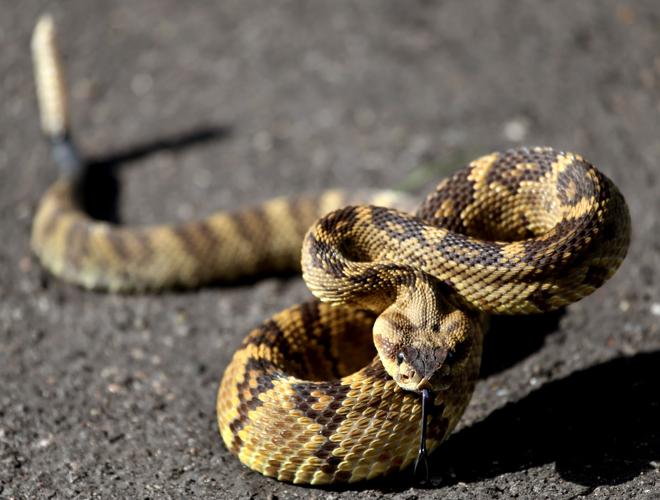 Chiricahua National Monument