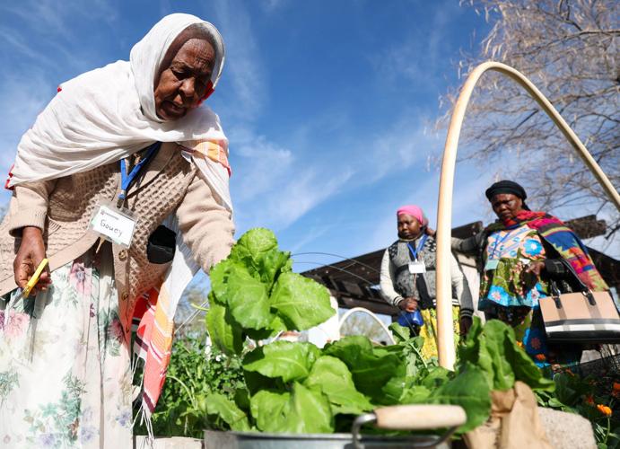 Refugee programs in Tucson, elsewhere face funding uncertainty