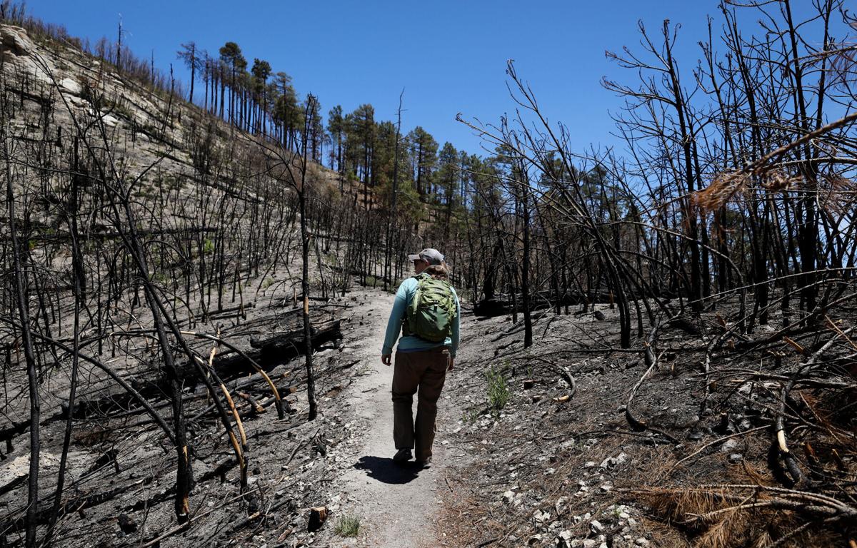 Bighorn Fire in the Santa Catalina Mountains, 2020