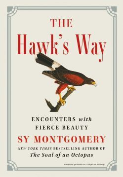 The Hawk's Way.jpg