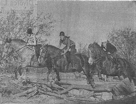 A traditional fox hunt, Sonoita style   