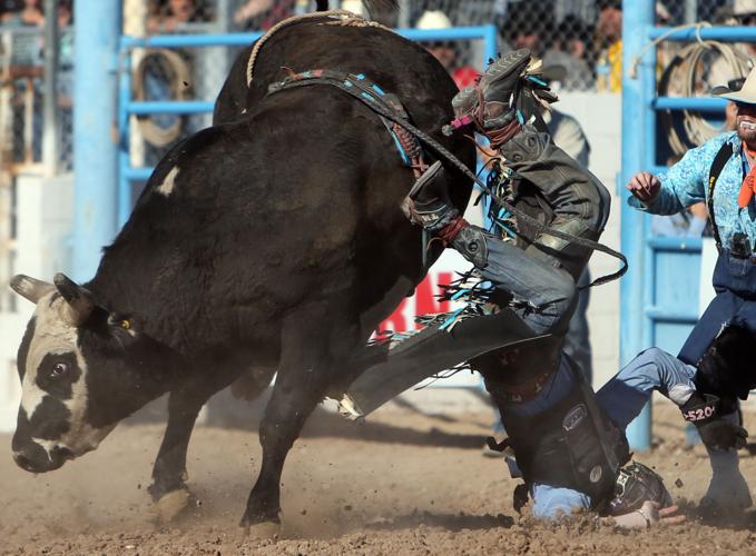 Tucson Rodeo Saturday