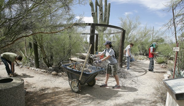 Volunteers spruce up Tohono Chul    