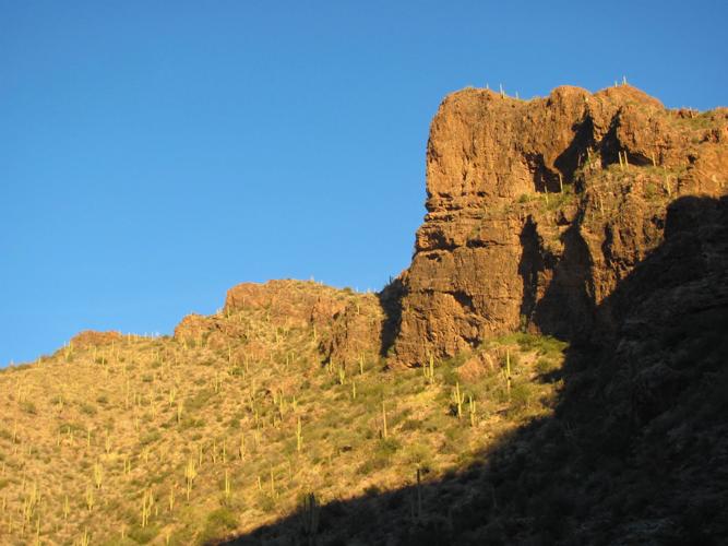 Ventana Canyon beauty