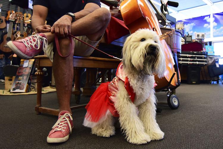 Halloween around Tucson