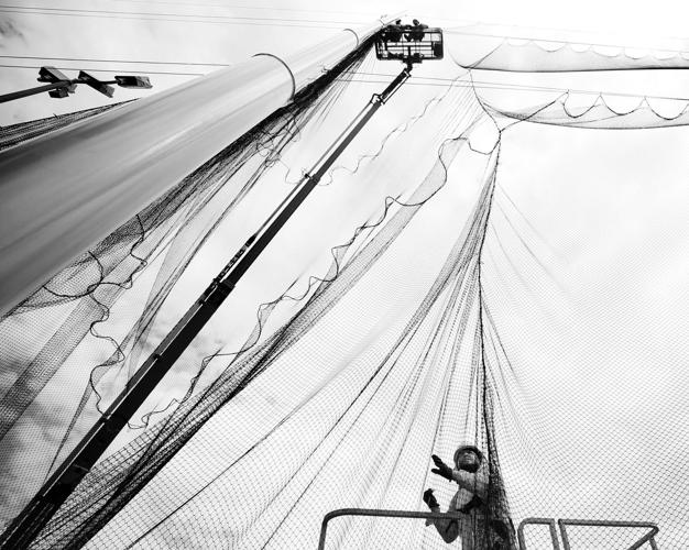 Golf netting by Mamta Popat