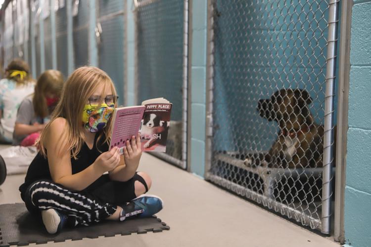 Hand in Paw Kids Club (LE)