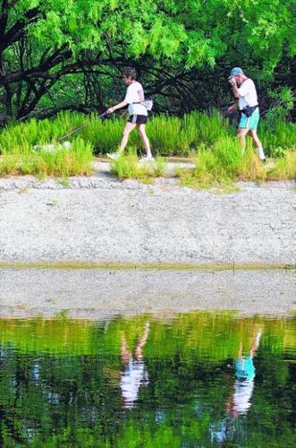 Agua Caliente Park: Tucson's oasis  