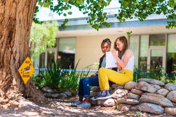 Arizona Tax Credit: The Gregory School riparian area