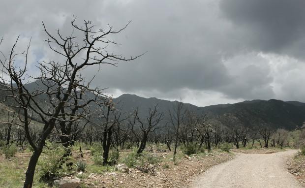 Flooding in Monument Fire burn area