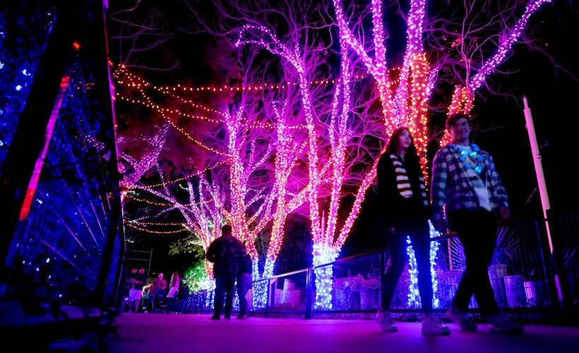 Así se vive la Navidad en el Raid Park Zoo. Galería de fotos ZooLights