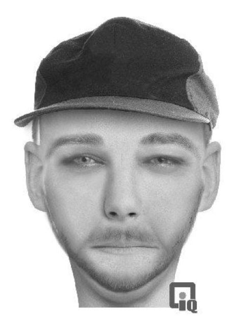Sexual assault suspect