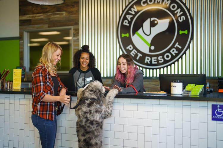 Resort for pups opens in Tucson