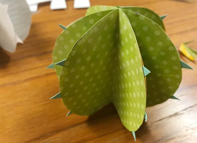 Barrel with no flower