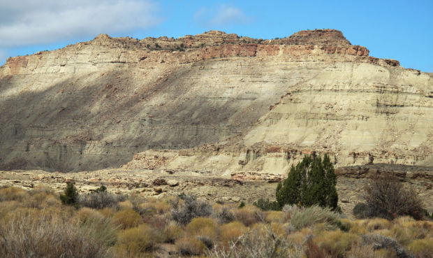 New dinosaur discovered in southern Utah