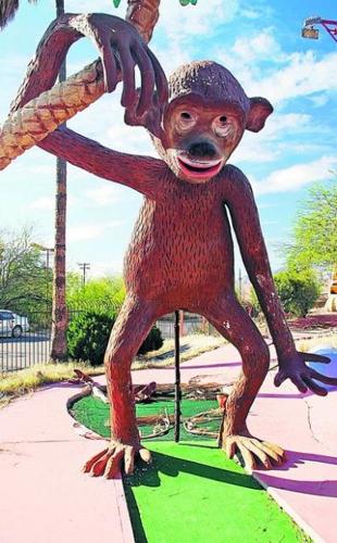 'Poo Monkey' to swing into neighborhood  