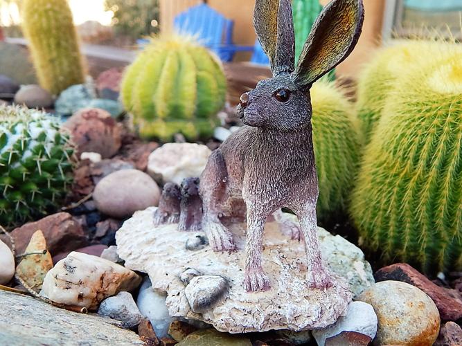 Miniature garden with desert critters