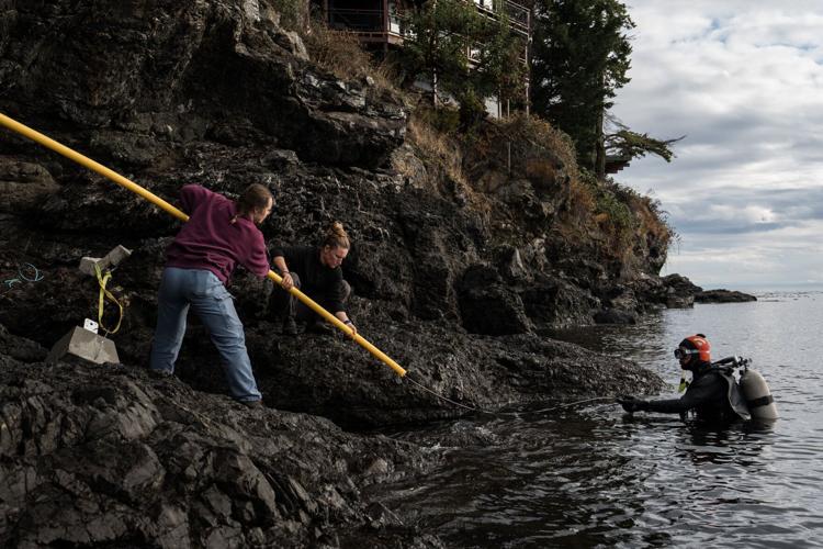 Climate Whale Acoustics