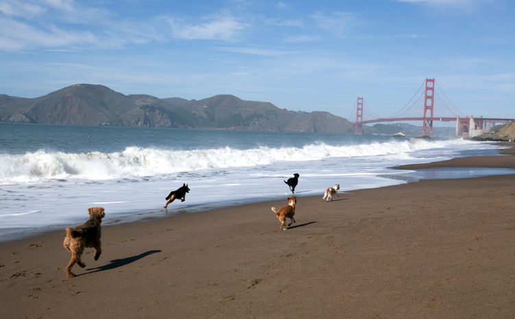 #1: San Francisco, California