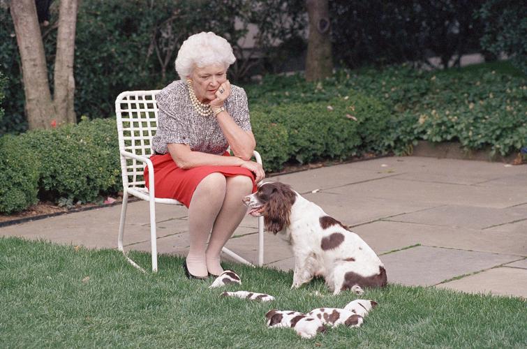1989: Bush and Millie