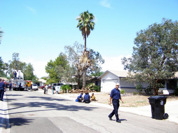 One man dies, two injured in Tucson tree-trimming accidents  