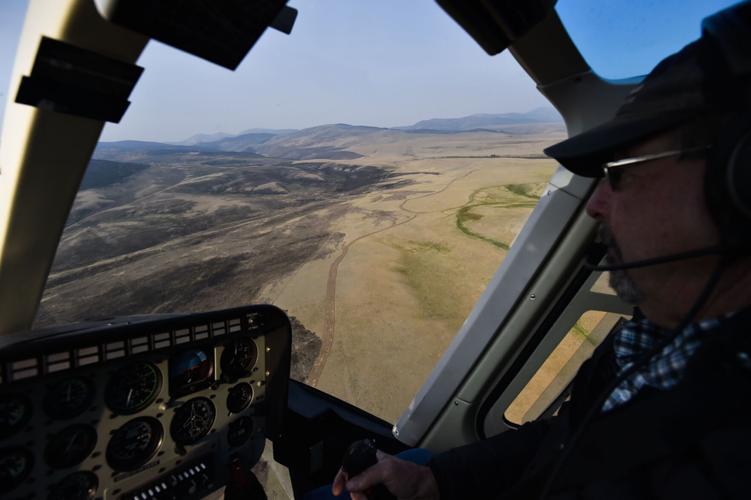 A fire line and burned ground from a back burn operation