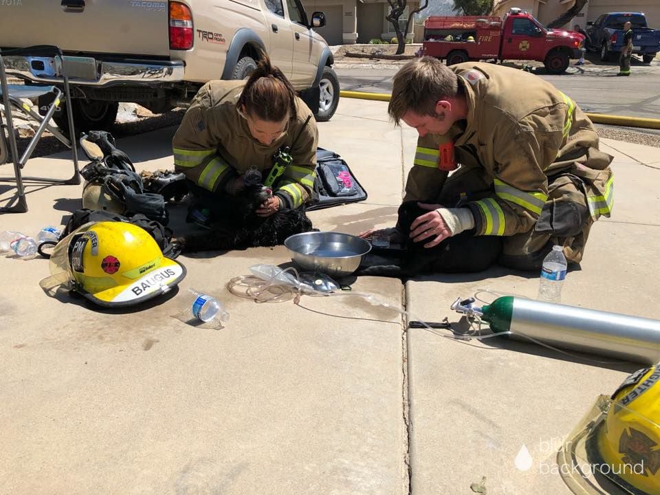 Golder Ranch fire scene