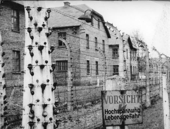 Auschwitz-80th Anniversary