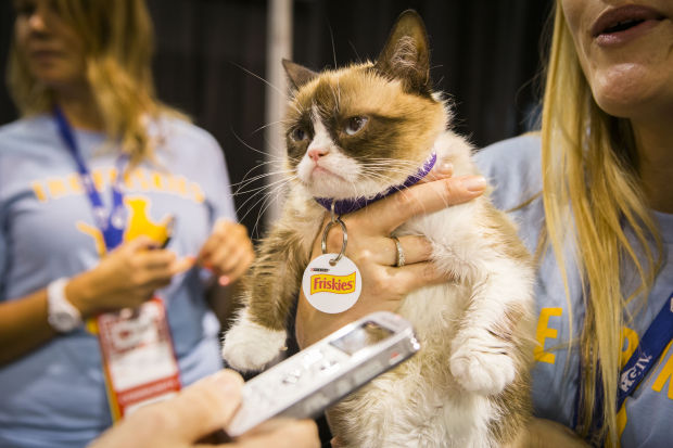 Animal shots of the week