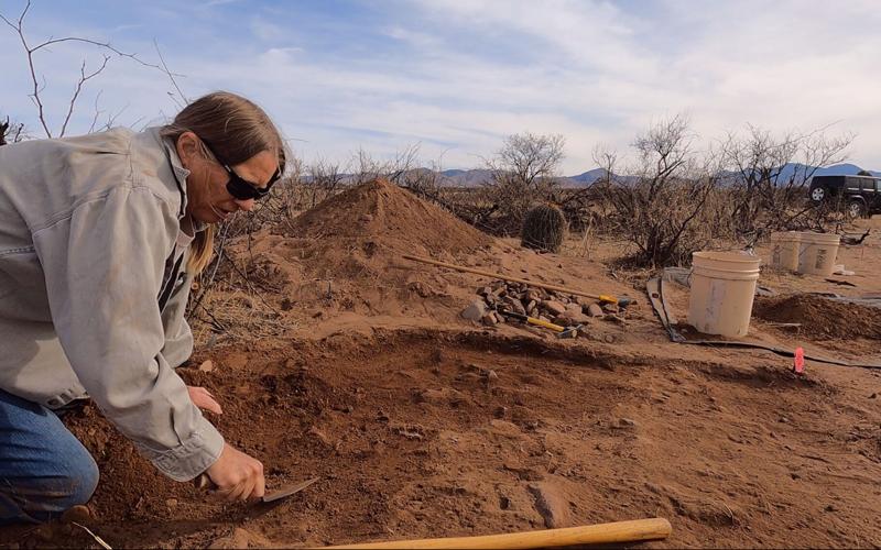 Deni Seymour, Coronado expedition