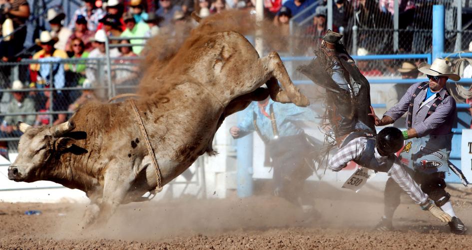 Tucson Rodeo Saturday