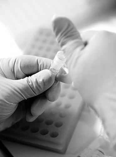 UA study takes aim at poaching in Africa  