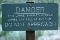 These big guys were contemporaries of "Old Granddaddy"   